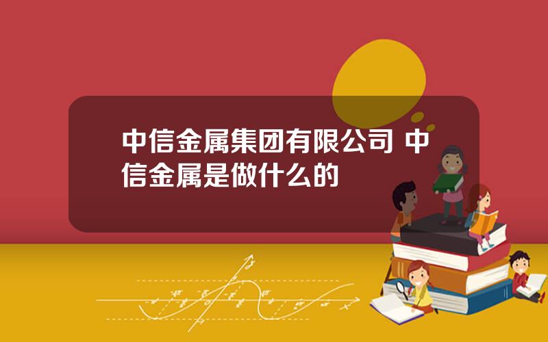 中信金属集团有限公司 中信金属是做什么的